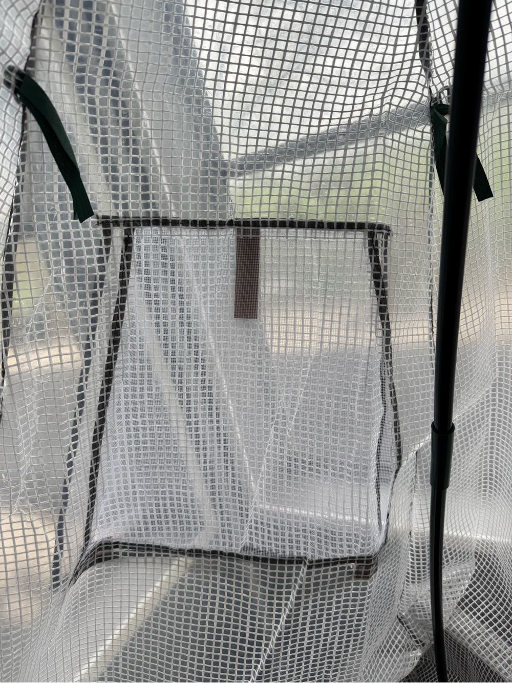 Greenhouse - Picture 7 of 8